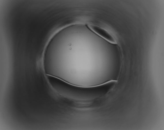 X0000101421344200807071308