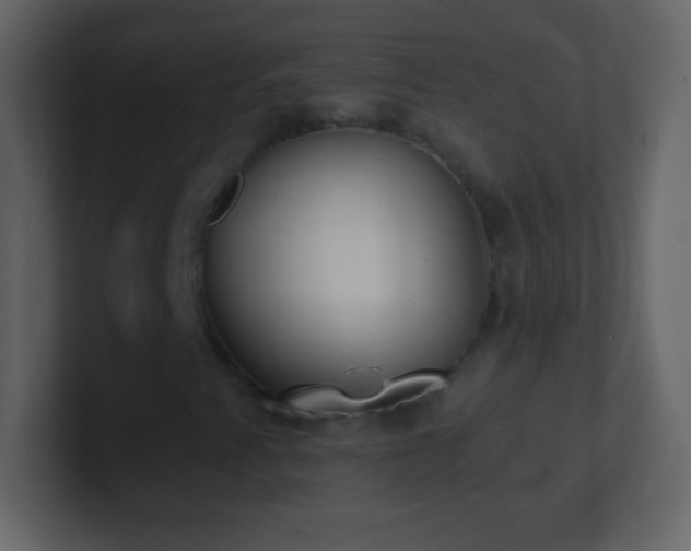 X0000101421345200807071307