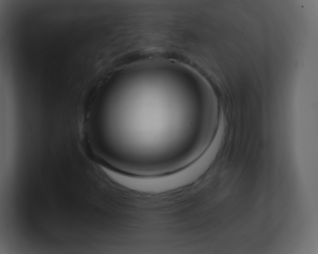 X0000101421348200807071307