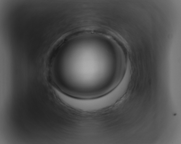 X0000101421352200807071307