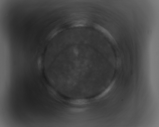 X0000101421353200807071307