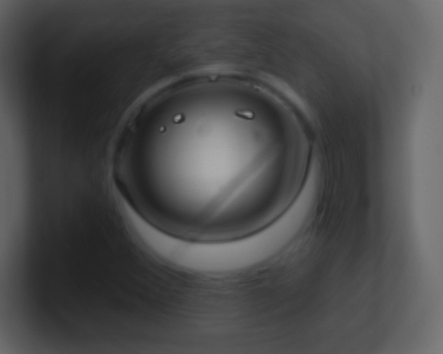 X0000101421356200807071307