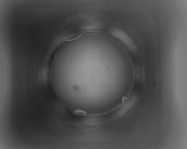 X0000101421357200807071307
