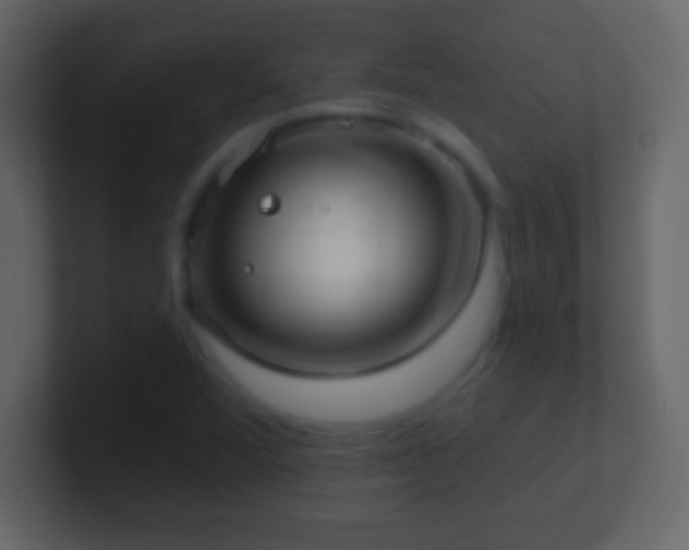 X0000101421360200807071307