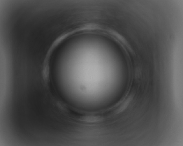X0000101421366200807071307