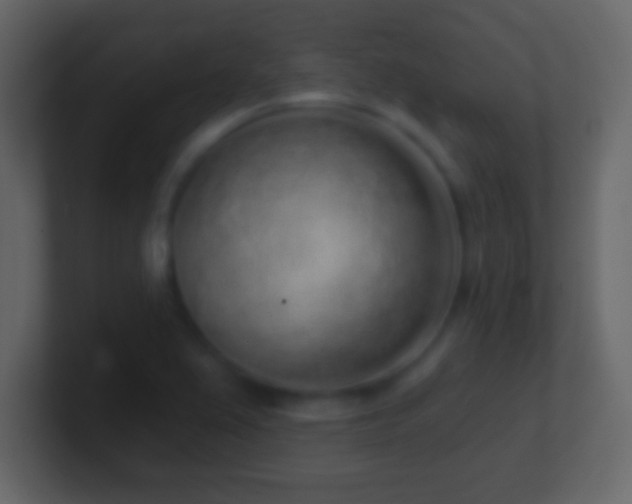 X0000101421367200807071307