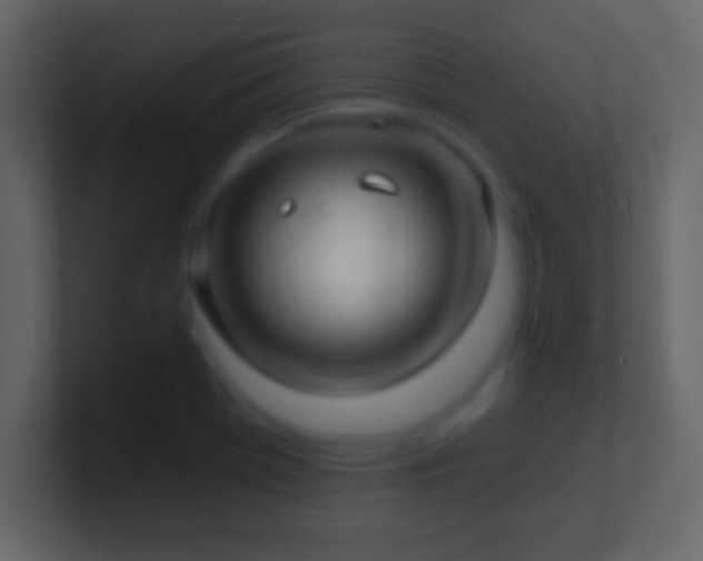X0000101421369200807071307