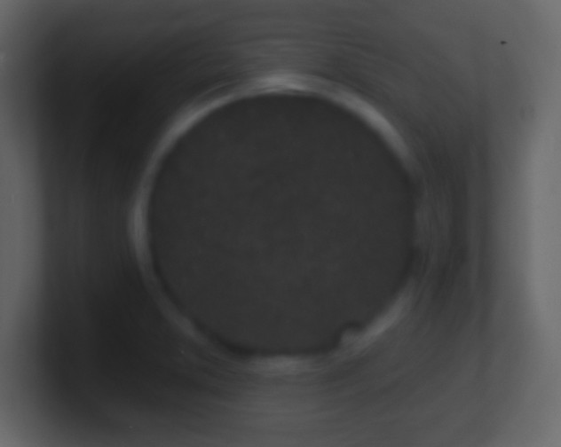 X0000101421373200807071307
