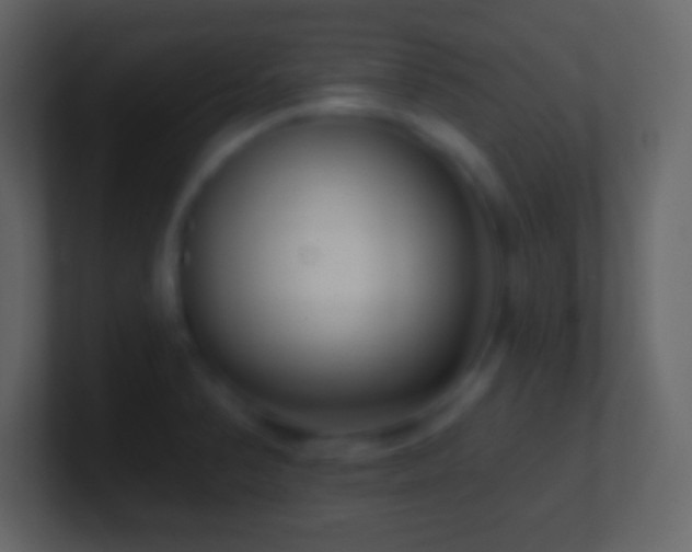 X0000101421374200807071307