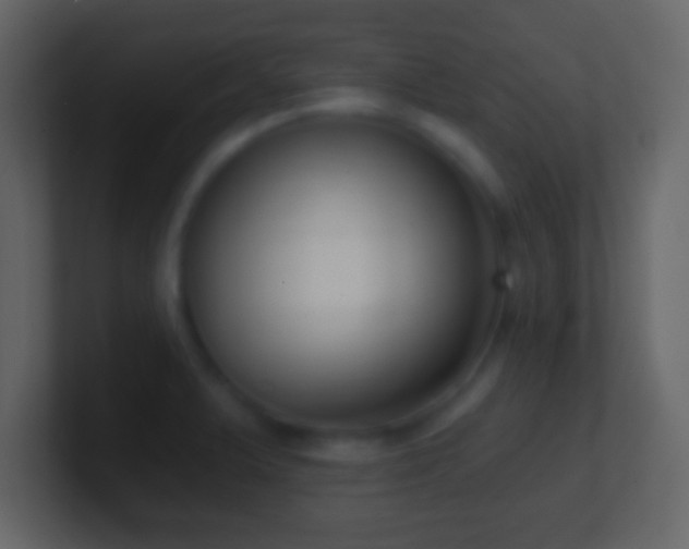 X0000101421375200807071307