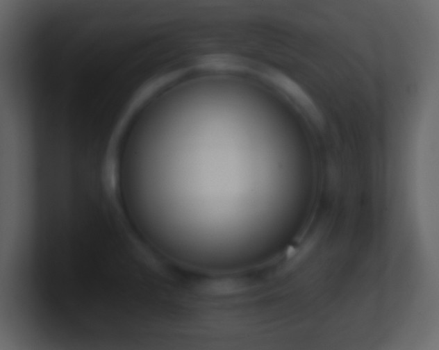 X0000101421376200807071307