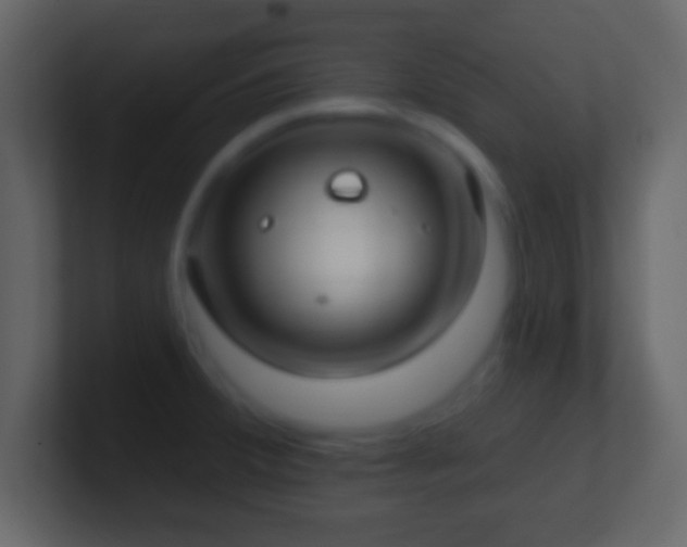 X0000101421380200807071307