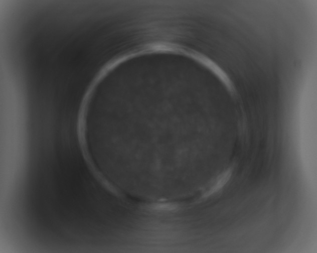 X0000101421381200807071307