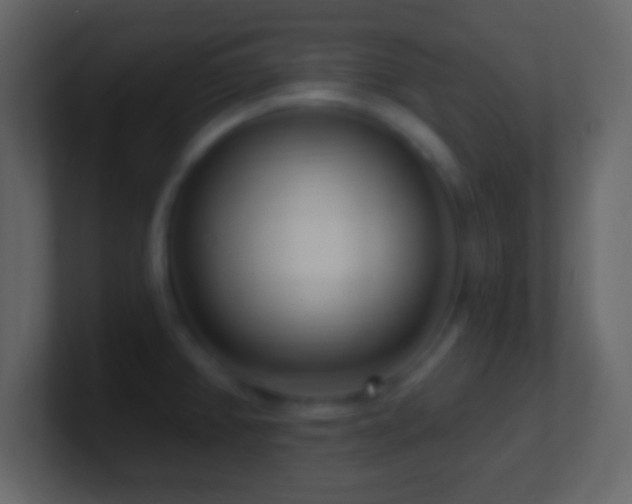 X0000101421382200807071307