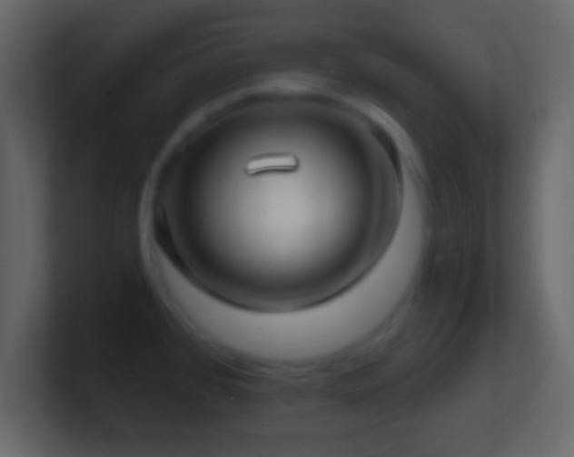 X0000101421384200807071307