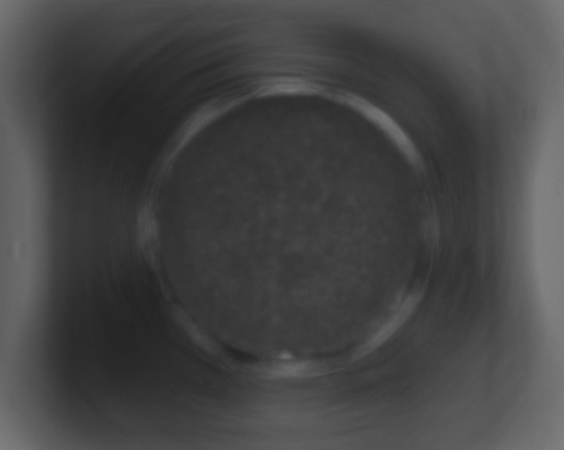 X0000101421385200807071307