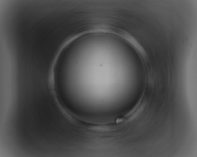 X0000101421388200807071307