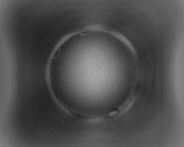 X0000101421389200807071307