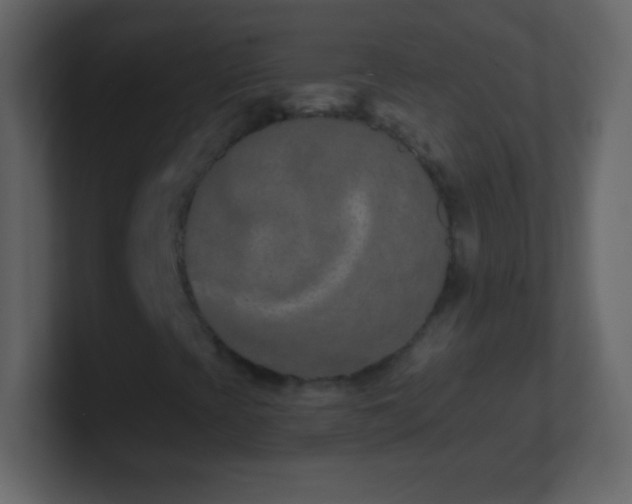 X0000101421393200807071306