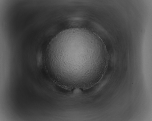 X0000101421394200807071306