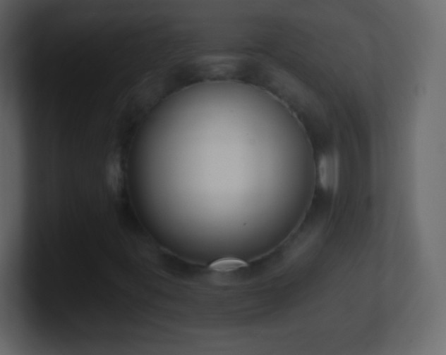 X0000101421395200807071306