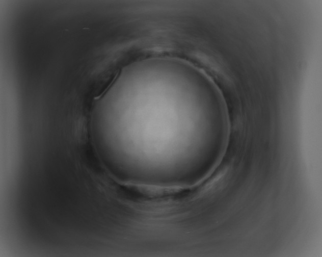 X0000101421398200807071306