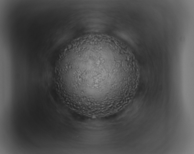 X0000101421399200807071306