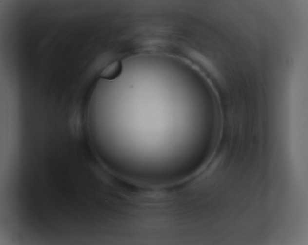 X0000101421403200807071306