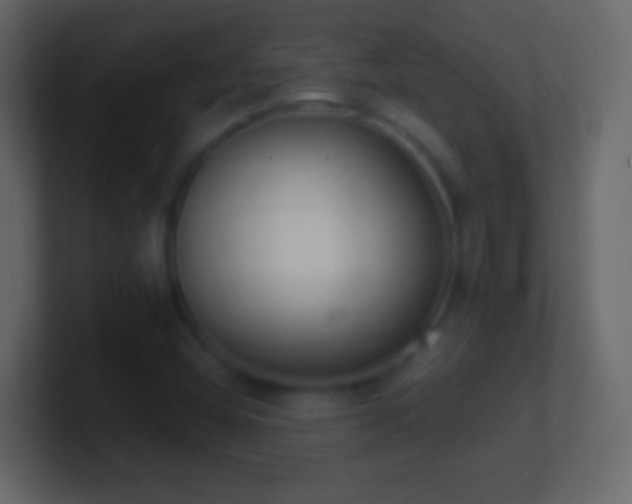 X0000101421404200807071306