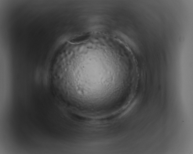 X0000101421405200807071306