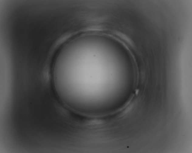 X0000101421406200807071306