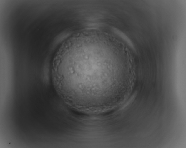 X0000101421411200807071306