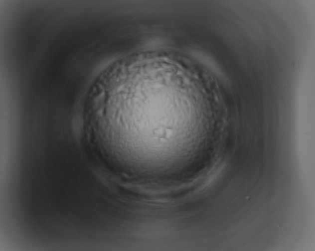 X0000101421413200807071306