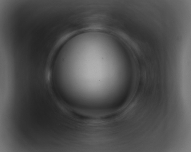 X0000101421416200807071306