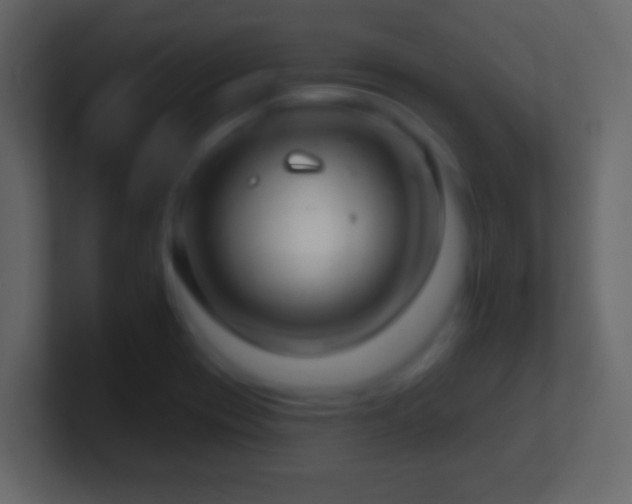 X0000101421417200807071306
