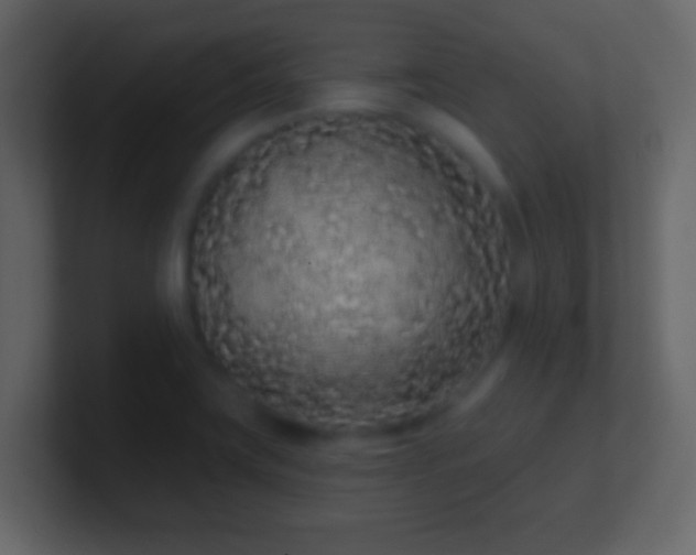 X0000101421419200807071306