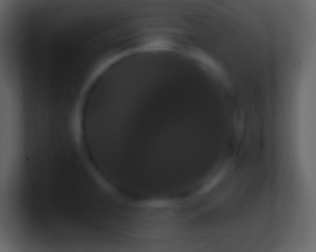 X0000101421422200807071306