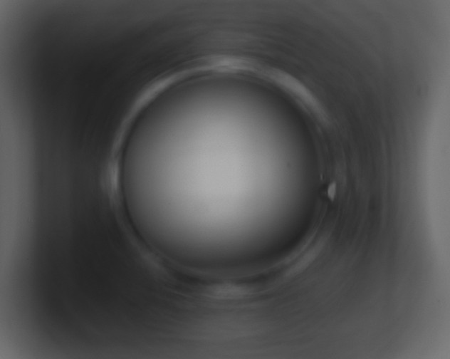 X0000101421424200807071306