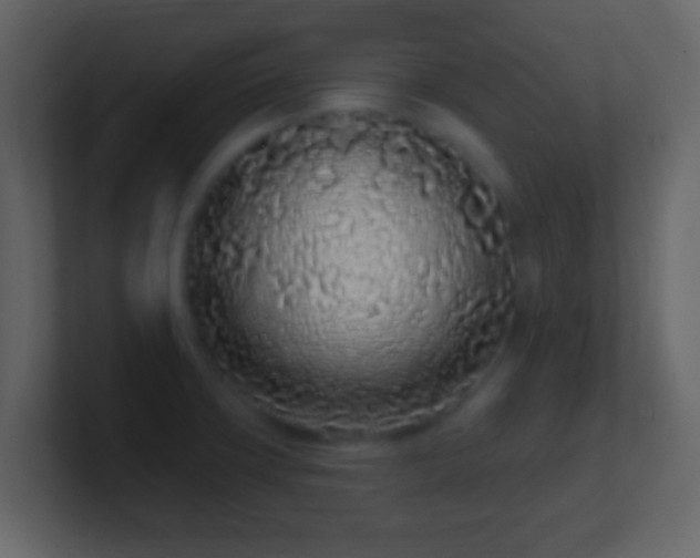X0000101421427200807071306