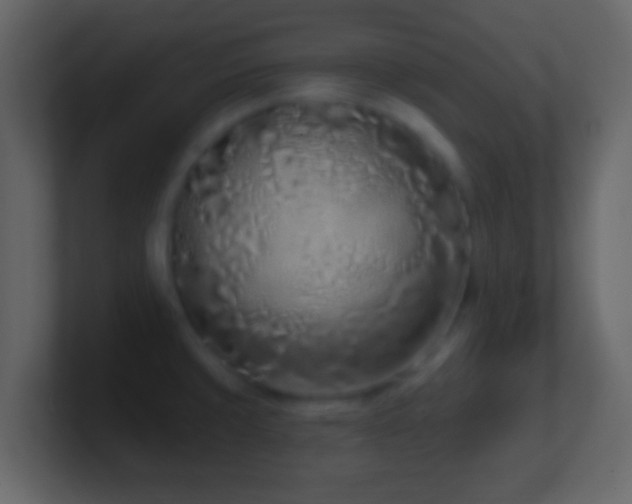 X0000101421429200807071306