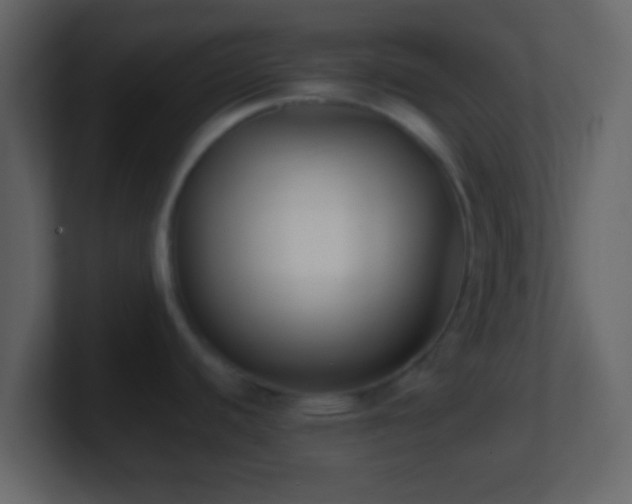 X0000101421440200807071306