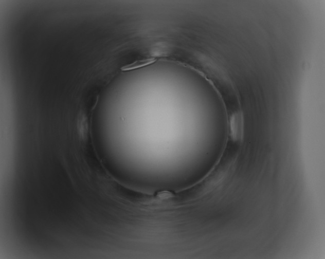 X0000101421443200807071306
