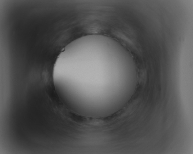 X0000101421446200807071306
