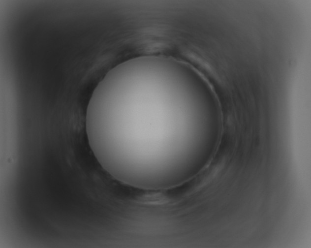 X0000101421447200807071306