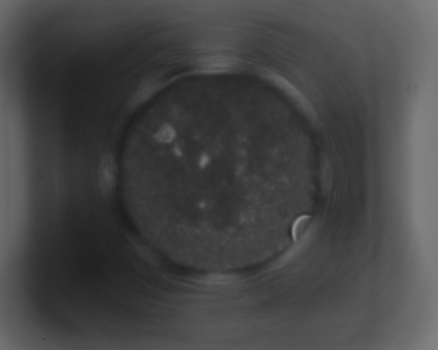 X0000101421449200807071306