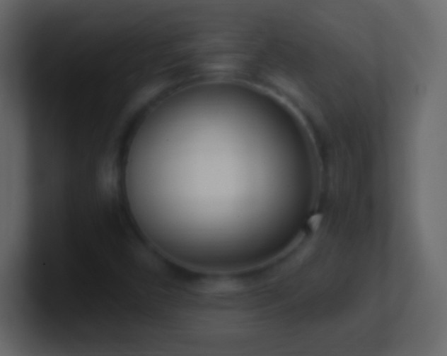 X0000101421450200807071306