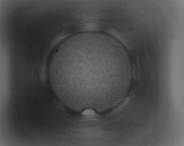 X0000101421453200807071306