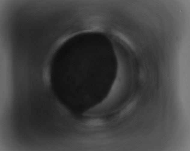 X0000101421455200807071305