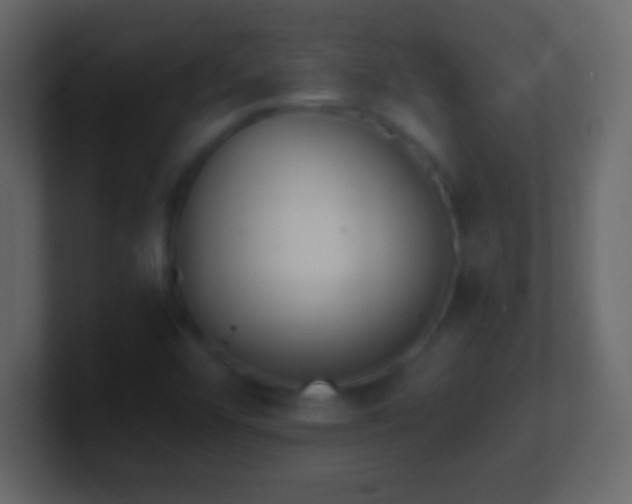 X0000101421456200807071305