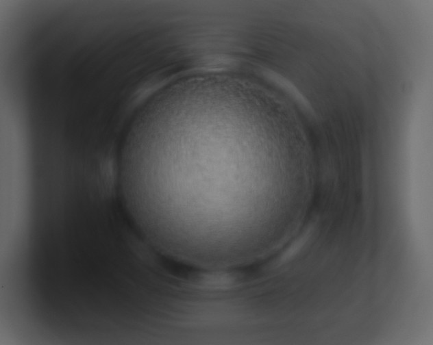 X0000101421457200807071305